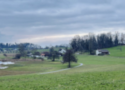 Kanton Zürich